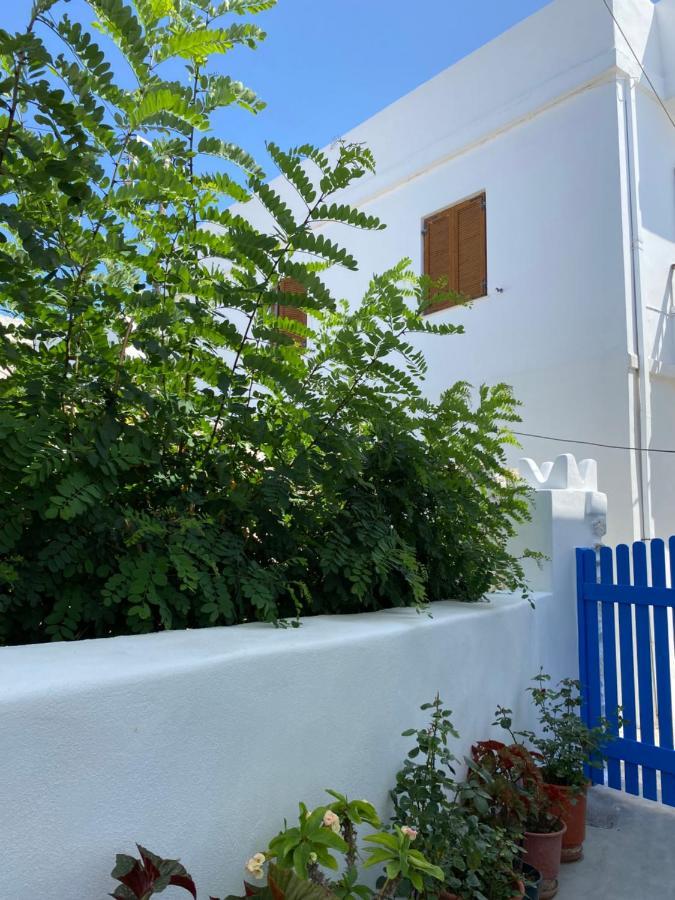 Blue Pearl Apartment Glinado Naxos Exteriér fotografie