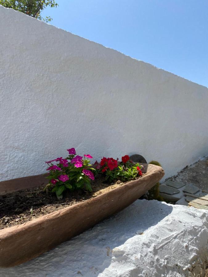 Blue Pearl Apartment Glinado Naxos Exteriér fotografie