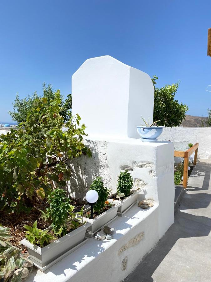 Blue Pearl Apartment Glinado Naxos Exteriér fotografie