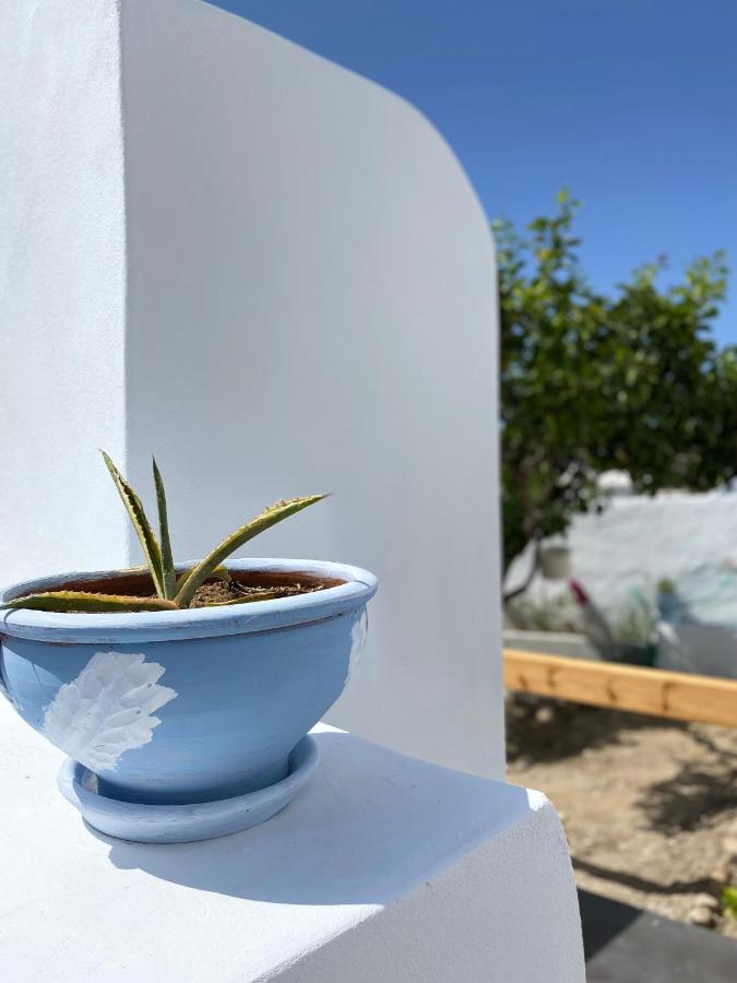 Blue Pearl Apartment Glinado Naxos Exteriér fotografie