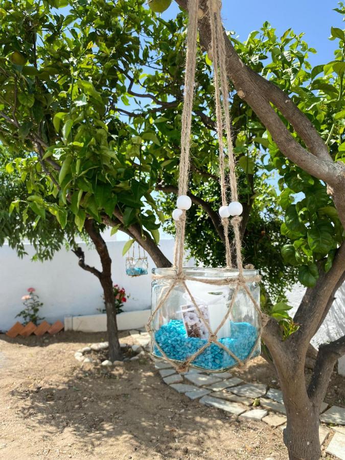 Blue Pearl Apartment Glinado Naxos Exteriér fotografie